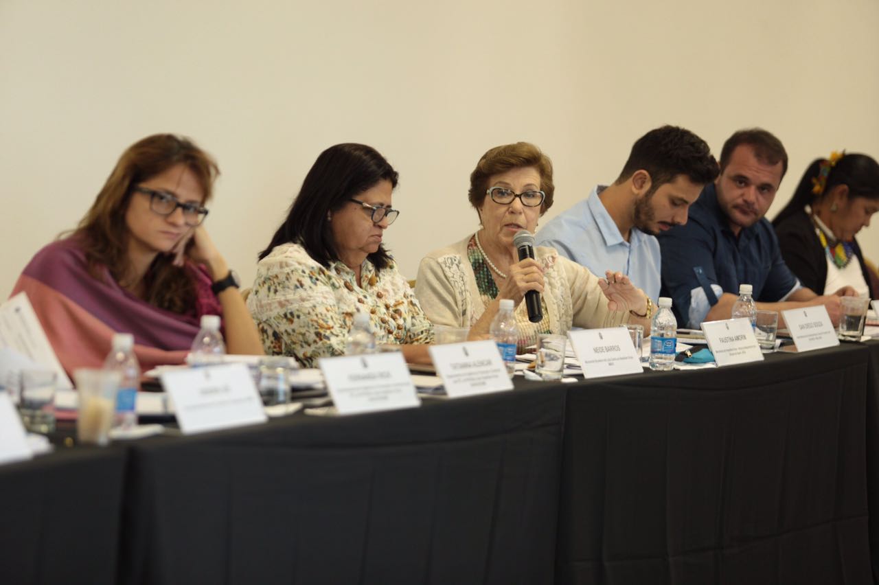 45ª Reunião da CAMS